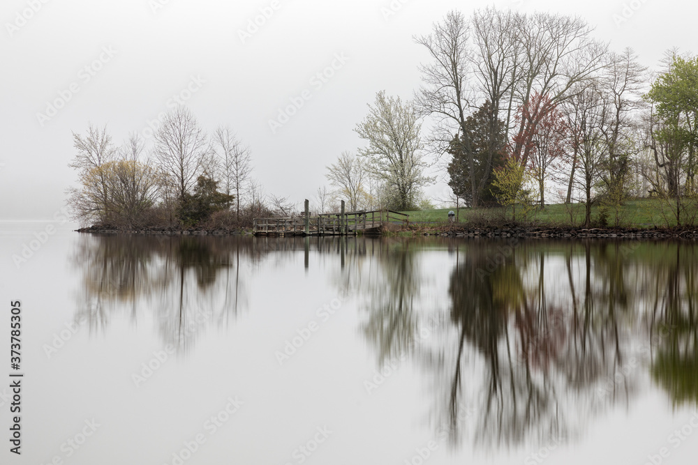 Fog in the Valley