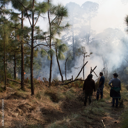 Personas controlando incendio forestal.