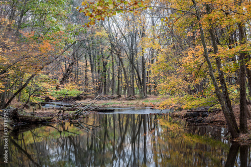 Autumn Reflections