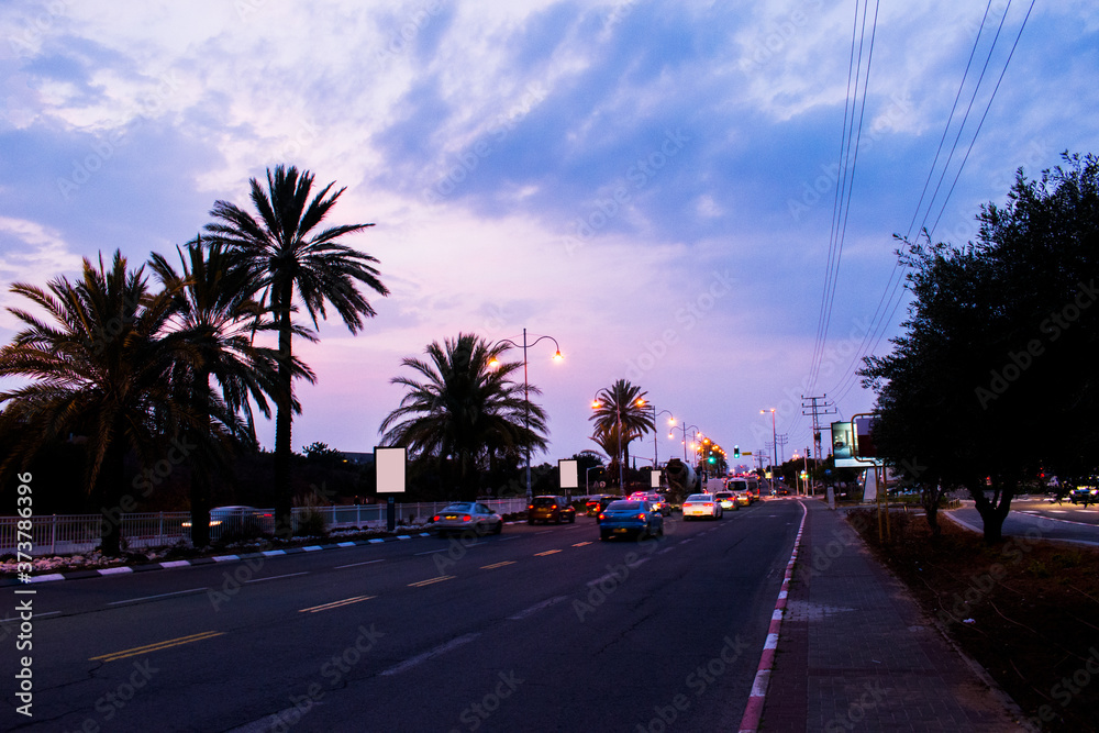 Palm trees, highway, cars and sky