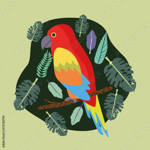 beautiful parrot bird exotic scene