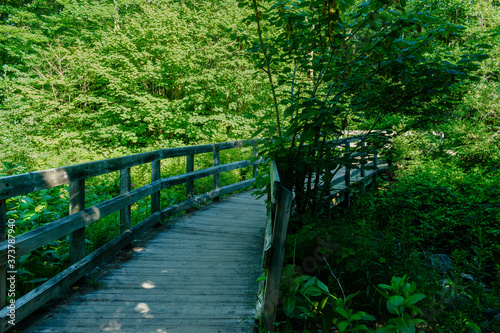 Walking at Des Roches PArk