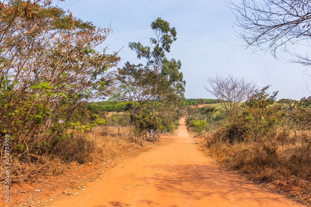 Rural dirt road in drought season in the interior of Brazil