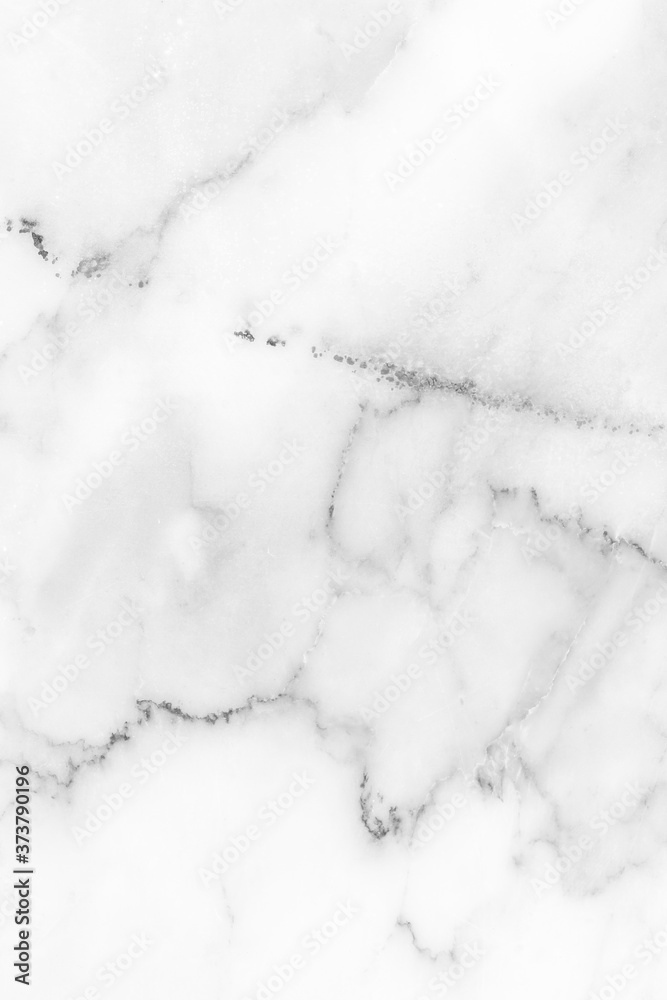 white marble texture background (High resolution). white marble texture background (High resolution).