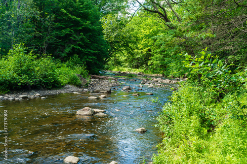 Walking at Escarpement park