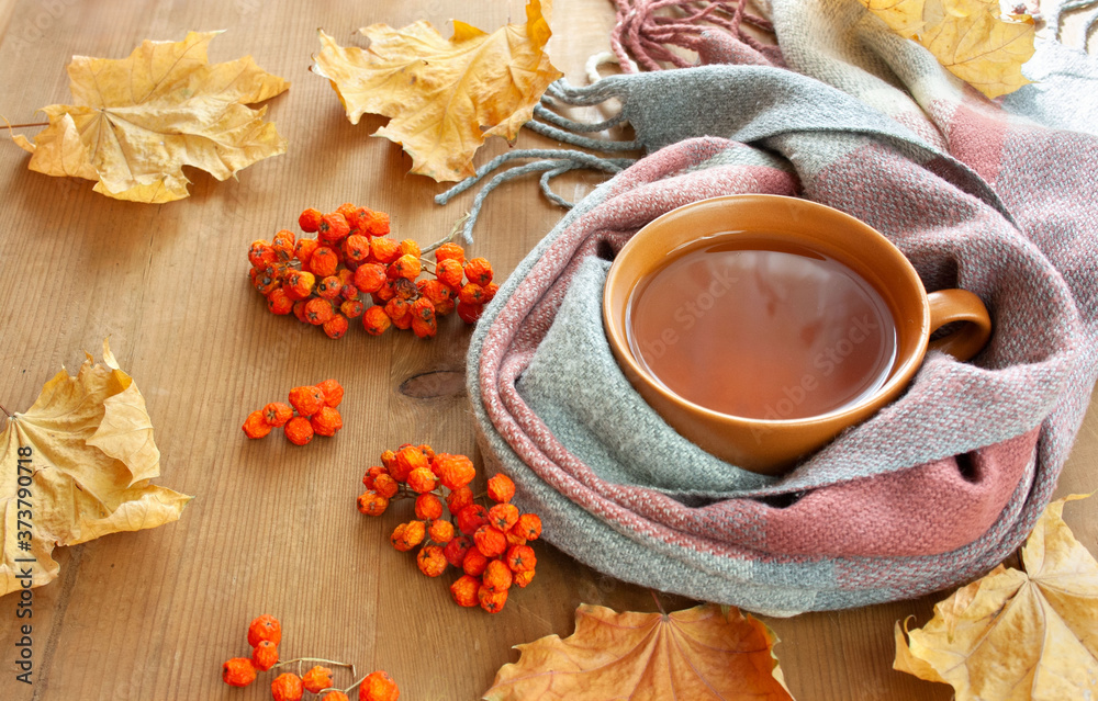 Autumn background with colorful leaves, tea wrapped in a scarf and rowanberry