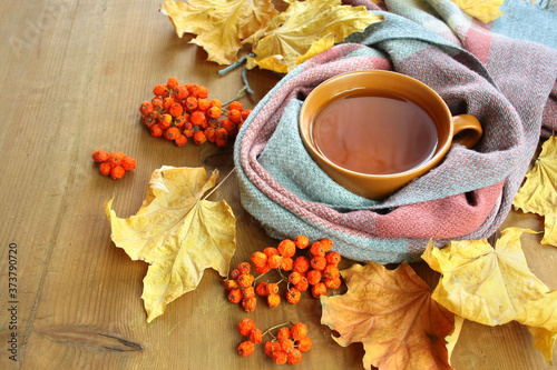 Autumn background with colorful leaves, tea wrapped in a scarf and rowanberry © Monika