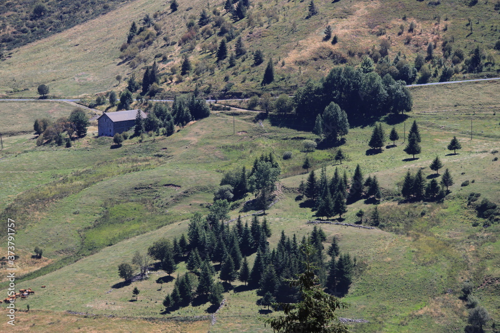 Fototapeta premium paysages du Mézenc