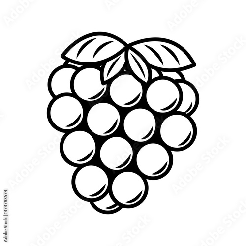 Vector line art blackberry icon. Isolated fruit silhouette in cartoon style. Fruit pictogram for coloring page