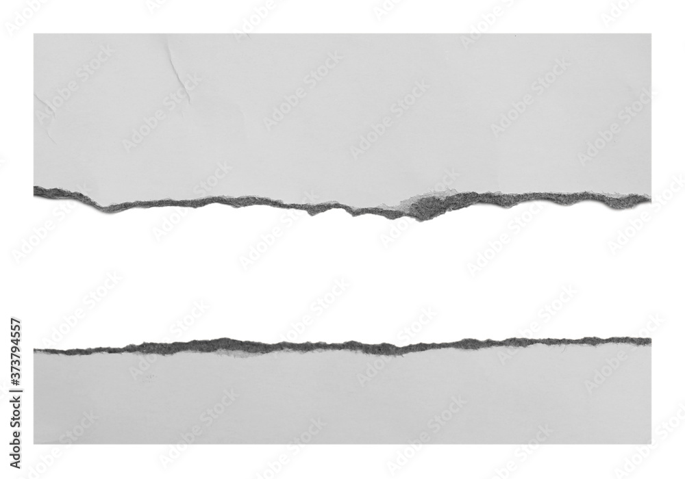 torn paper isolated on white background, this has clipping path.