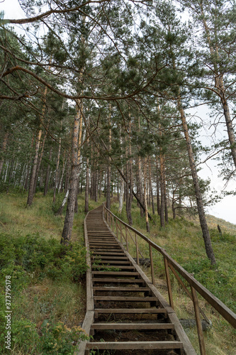 Old wooden stair in a deep russian forest on the North  cloudy summer day