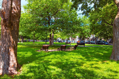 young woman relaxing in a park