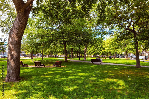 benches in the park