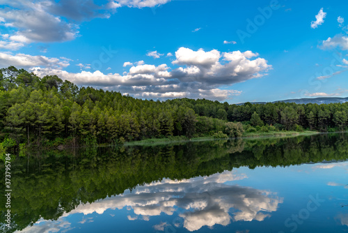 reflections of clouds and forest in lake water