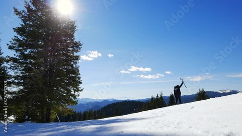 Panoramic view over a snow covered slope with saplings conifer pine tree. Panorama of mountain ridges. Macedonian Pine (Pinus peuce) grow at Rhodopi Mountains. Pamporovo winter resort peak in Bulgaria photo