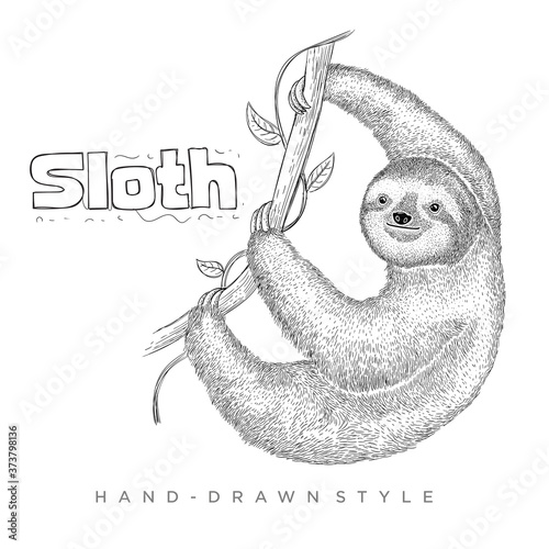 vector of sloth climbing a tree. hand drawn animal illustration