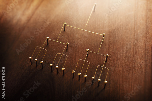 Hierarchy, command chain, company / organization structure or layer and grouping concept image. Top down structure made from gold wires and nails on rustic wooden surface. Shallow depth of field. photo