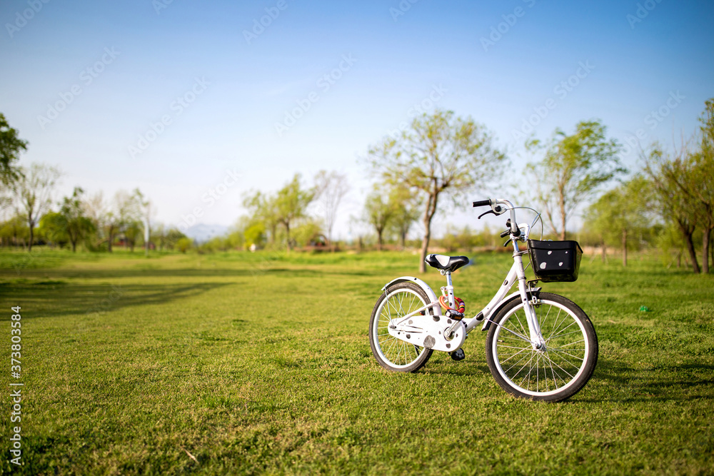 Fototapeta premium cyclist on the road