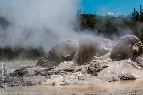 Steam And Boiling Water From Grotto Geyser, Upper Gayser, Basin, Yellowstone National Park, Wyoming, USA