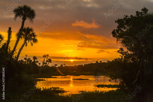 USA, Florida, Orlando Wetlands Park. Sunrise on lake and forest. Credit as: Cathy & Gordon Illg / Jaynes Gallery / DanitaDelimont. com photo
