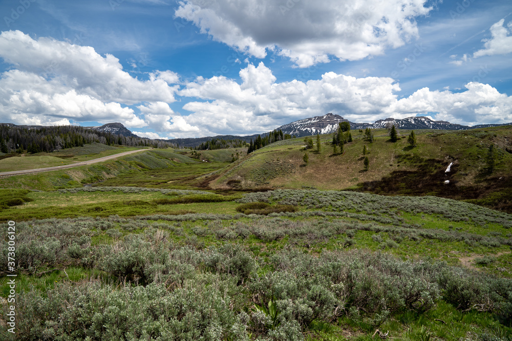 Fototapeta premium View of the Shoshone National Forest and the Wind River Mountains - Breccia Cliffs, in Wyoming