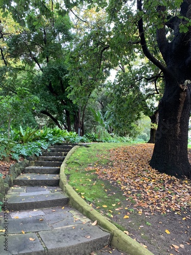 footpath in the park