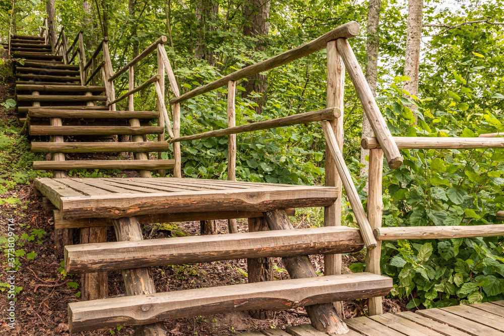 Wooden stairs and platform in the forest Wooden stairs and platform in the forest