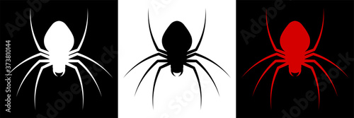 spider icon for Halloween web banner decoration. Dangerous poisonous insects. Disease carriers. A ruthless hunter. Minimalistic vector