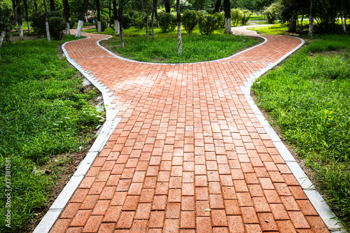Canvas Print Forked sidewalk in the park
