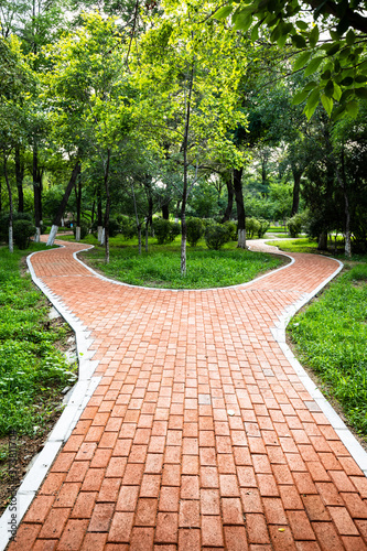 Photography Forked sidewalk in the park