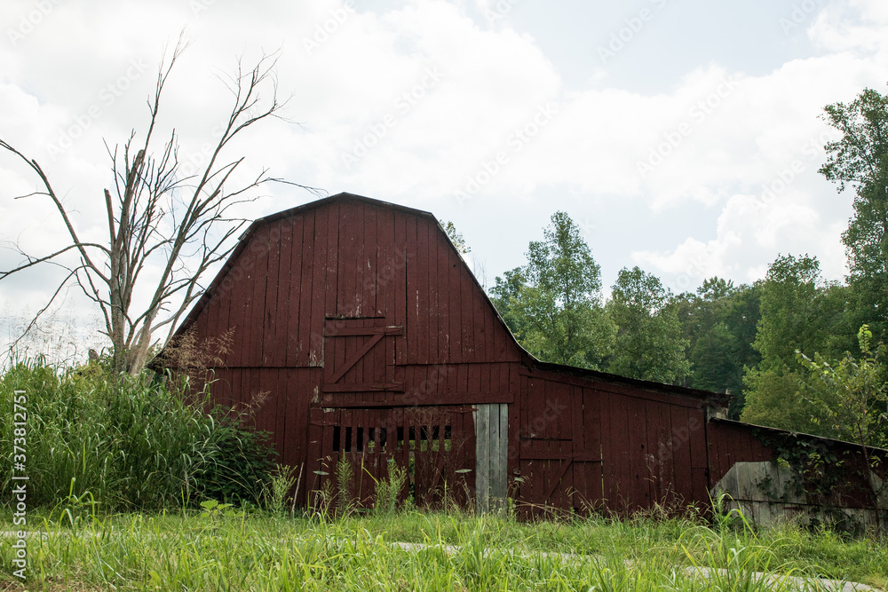 Obraz premium old red barn