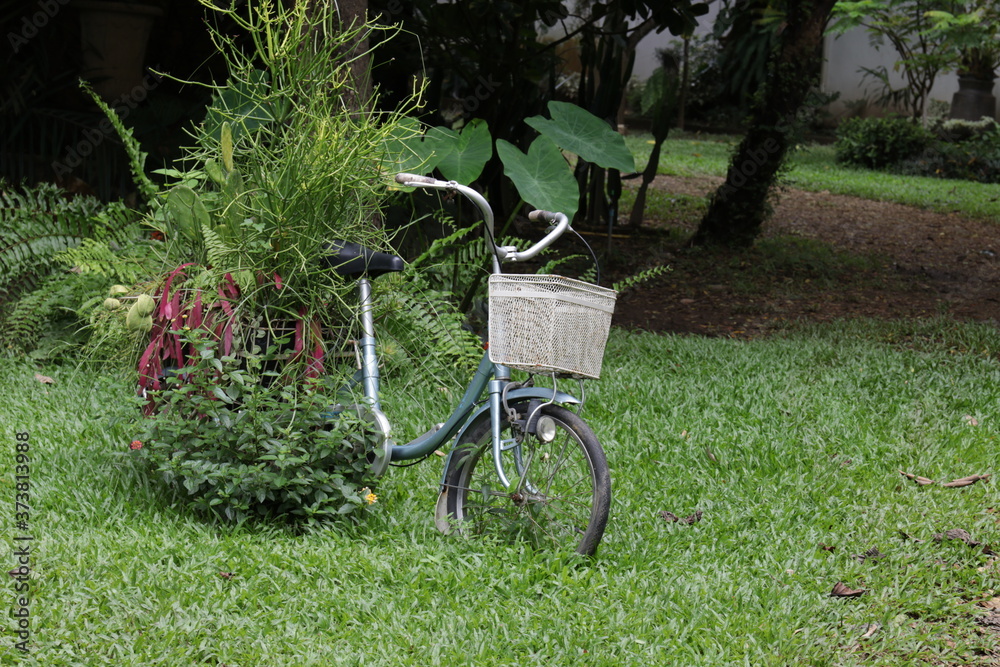 Fototapeta premium bicycle in the garden