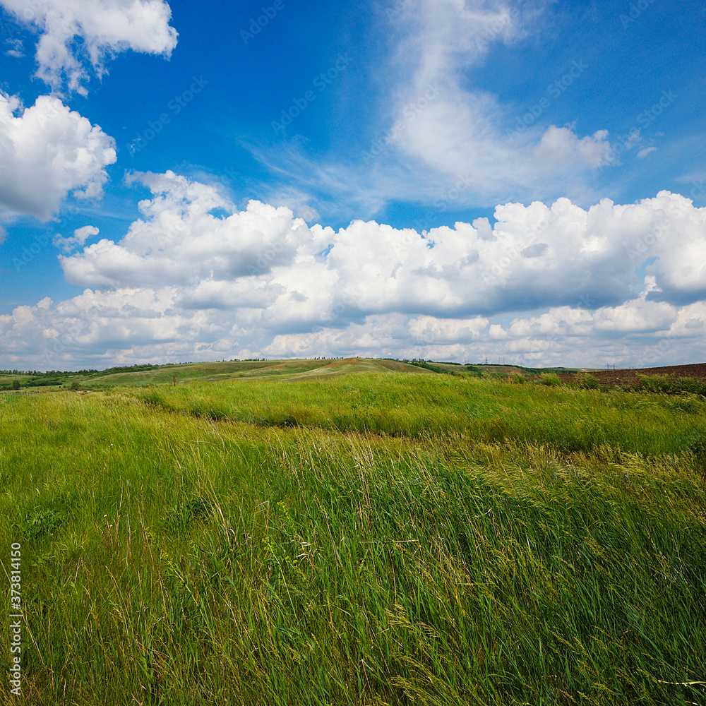 Summer natural landscape, meadow, field, hills. Beautiful blue sky with clouds. Summer natural landscape, meadow, field, hills. Beautiful blue sky with clouds.