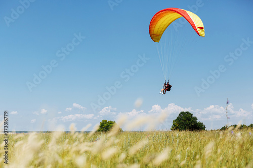 Red yellow paraglider is landing onto the green field in a sunny day