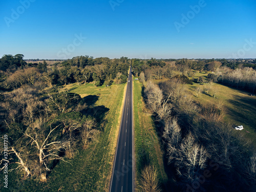 long lonely road located in the middle of a natural reserve in Berazategui, Buenos Aires, Argentina photo