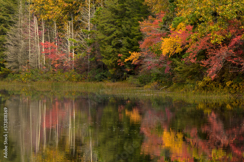 USA, New Jersey, Wharton State Forest. Lake and forest in autumn. Credit as: Jay O'Brien / Jaynes Gallery / DanitaDelimont.com photo