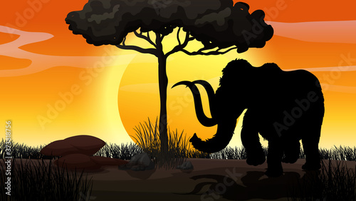 Outdoor nature silhouette sunset scene