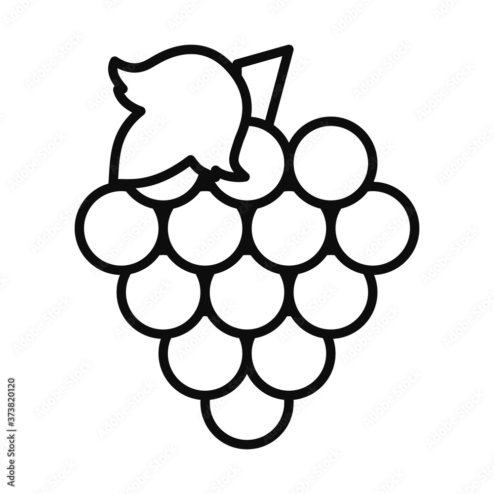 bunch of grapes icon, line style