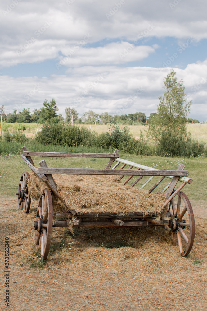old wooden cart in a field in summer