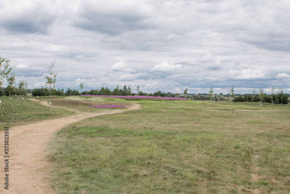 Fototapeta premium road in a green meadow in a field