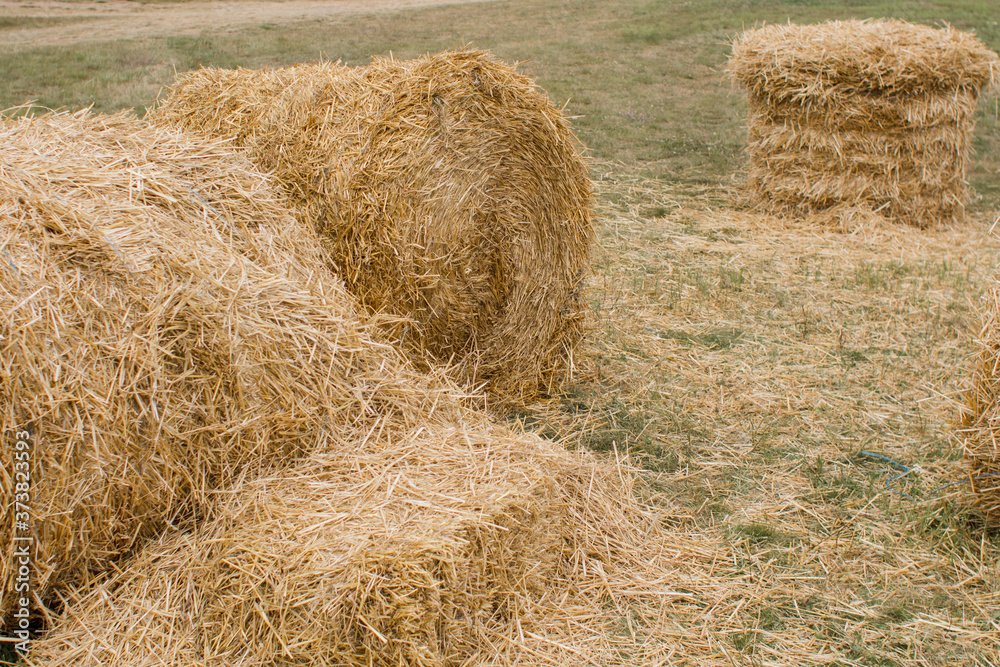 haystacks in a field on a meadow in summer haystacks in a field on a meadow in summer
