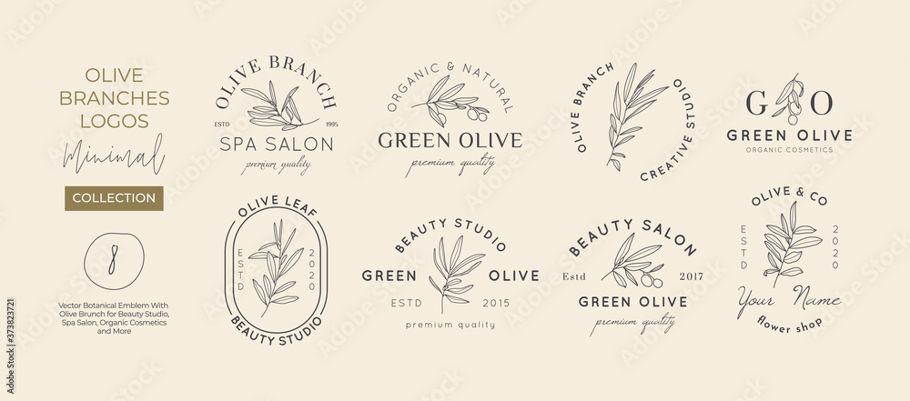 Set of Olive branch with leaves logo design template in simple minimal linear style. Abstract Feminine Vector Signs with Floral Illustration for Beauty Studio, SPA, Organic cosmetics, creative studio
