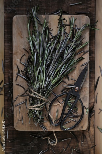 Fresh rosemary.Aromatic herbs and spices. Green rosemary twigs bunch and garden shears .Rustic style.Dark mood. Spices.