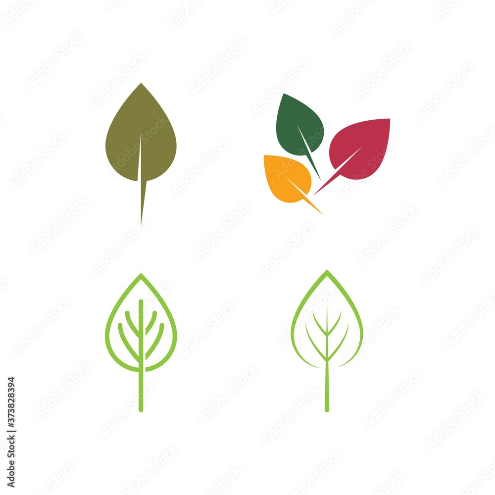 Green leaf Green leaf