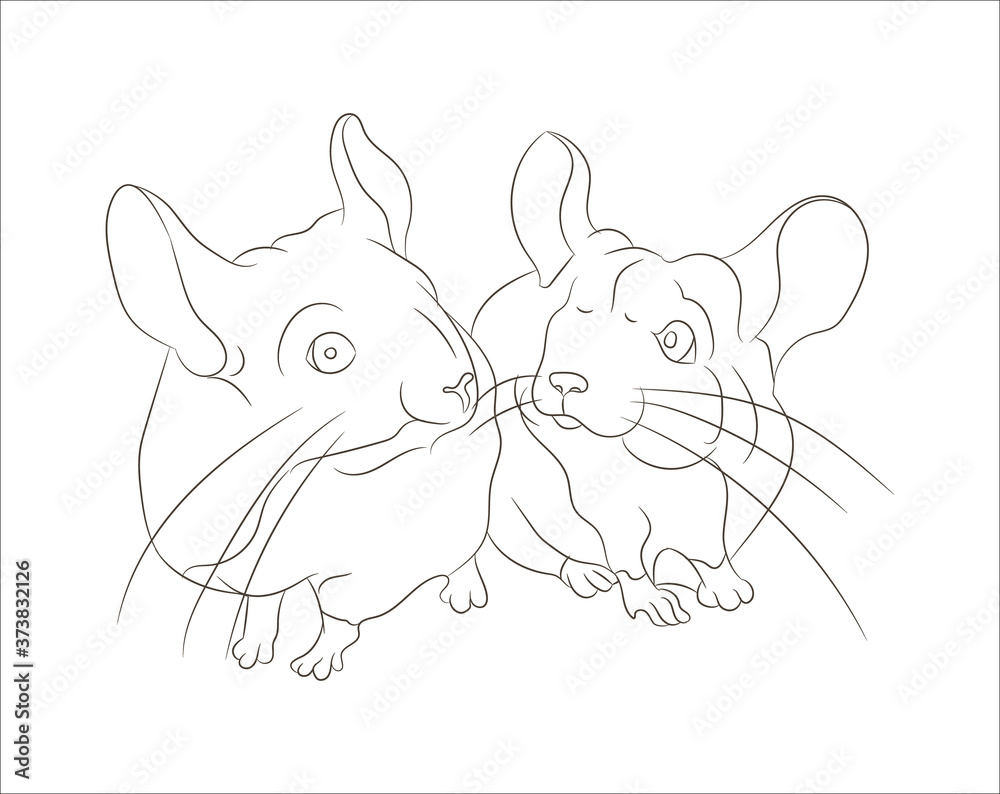 mouse vector illustration, line drawing, vector
