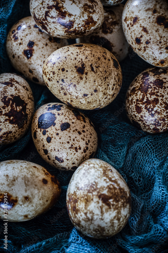 Fototapeta premium quail eggs lie on turquoise gauze