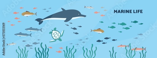 Marine or underwater background with seabed animals flat vector illustration.