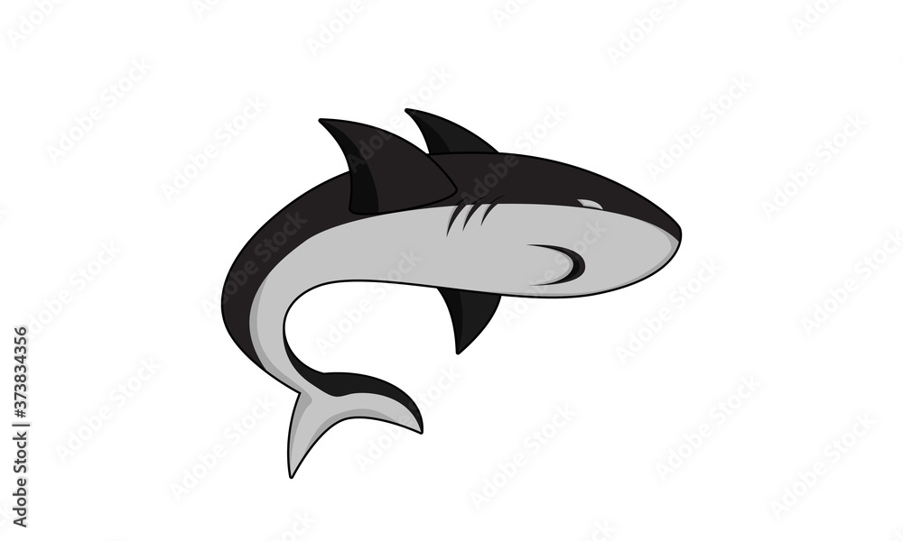 Fototapeta premium shark illustration vector