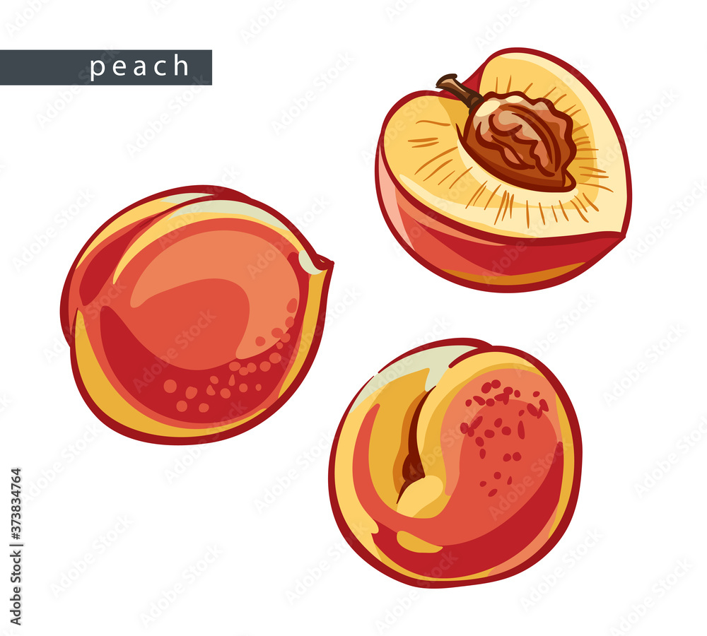 sketch_set_peaches_three_drawings sketch_set_peaches_three_drawings