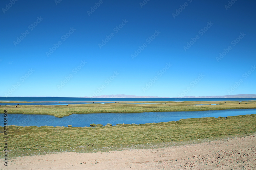 View of Namtso Lake with blue sky, Tanggula Mountains, grasslands, yaks and Nomadic tents in a sunny morning, Tibet, China